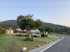 -汤山温泉房车营地 茶温泉