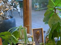 -时光花园(白鹭洲店)