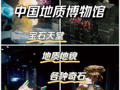 -中国地质博物馆