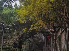 -乌山风景区