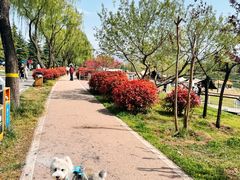 -洨河生态公园