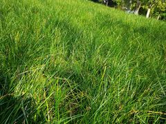 -重庆中央公园(渝北区)