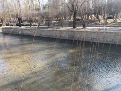 -元大都城垣遗址公园