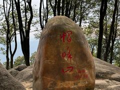 -广州市帽峰山景区