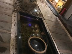-阳光慧所茶馆