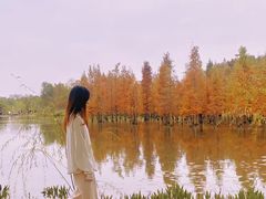 -白鹭湾湿地公园