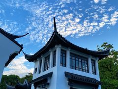 -红梅公园