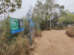 -马峦山郊野公园
