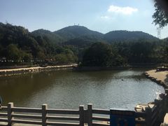 -广州市帽峰山景区