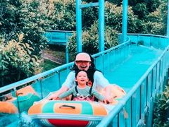 -世界恐龙谷景区