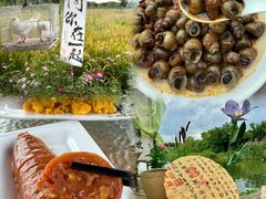 -阳澄湖半岛旅游度假区