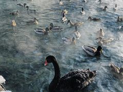 -水磨沟公园