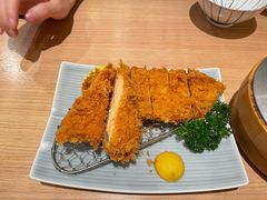 炸猪排-和幸(春熙路群光广场店)