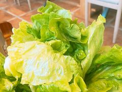 -守柴炉烤鸭(中海国际店)