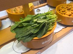 -龍歌自助小火锅(崂山丽达店)