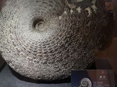 -中华赏石园