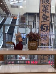 -欧扬医疗美容