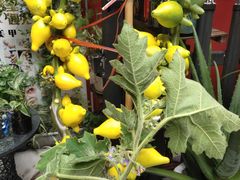 -小八仙·宴(三峡茶庄店)