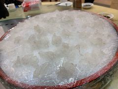 海鲈鱼生-荔城生鲜盛宴(番禺旗舰店)