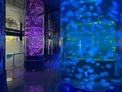 -石家庄海洋公园