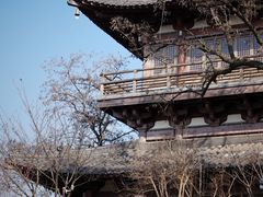 -梦溪园(中营街)