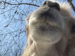 -杭州野生动物世界
