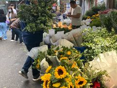 -循礼门鲜花花市(武汉循礼门店)