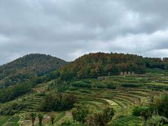 -乌石村