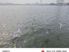 -蠡湖大桥公园