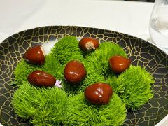 -鹿园 MOOSE(长宁店)