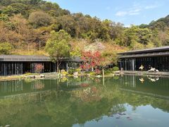 -云溪植物园