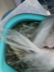 -派恩宜灰指甲鸡眼嵌甲手足癣