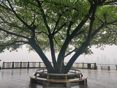 -南山植物园