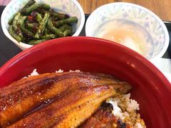 -食其家·牛丼咖喱(太阳宫店)