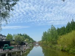 -黄海国家森林公园