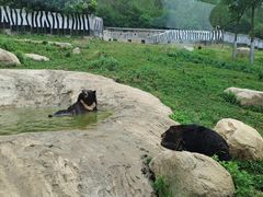 -西安秦岭野生动物园