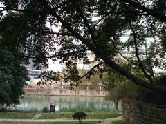 -成都市活水公园