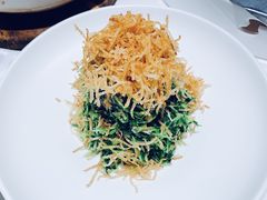 巧拌豆苗-四季民福烤鸭店(王府井灯市口店)