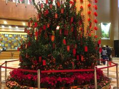 -汕头君华海逸酒店·鸿桃轩中餐厅