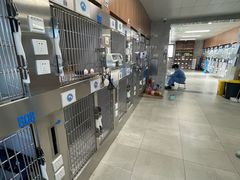 -北京派仕佳德动物医院·超导核磁·CT·神经科·骨科·内外科·急重症管理中心