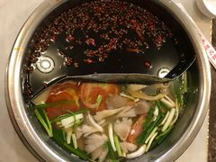 -朱氏胖子烂火锅(洪崖洞店)