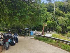 -南宁良凤江国家森林公园