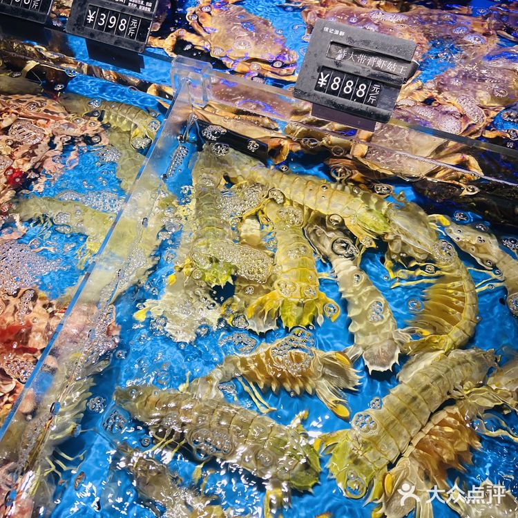 徐记海鲜金都小份菜， 199元20选8