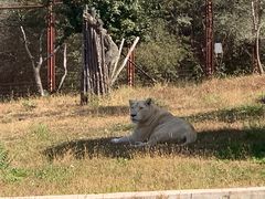 -沈阳森林动物园