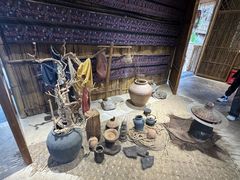 -西双版纳原始森林公园