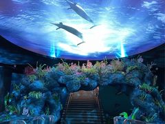 -陕西自然博物馆