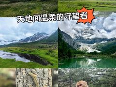 -稻城亚丁景区