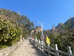 -大岭沟猕猴桃谷风景区
