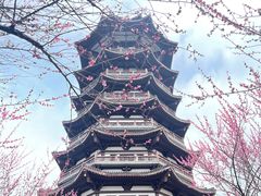 -洋湖国家湿地公园