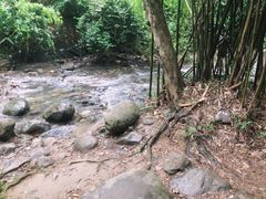 -紫云谷景区